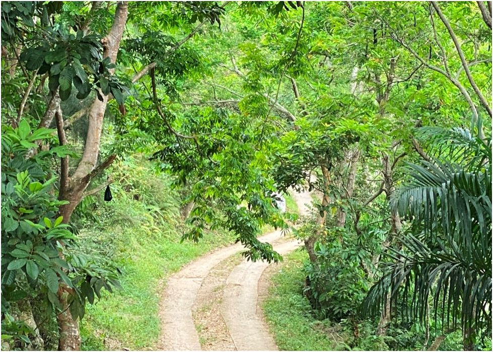 Promenade dominicale au cœur de la montagne à Vallue